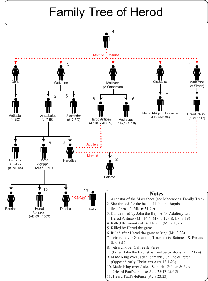 South georgia  dorminey family genealogy