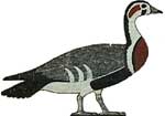 Egyptian Goose