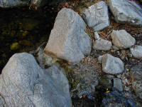 P1010010.JPG (216523 bytes)