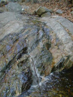 P1010013.JPG (212427 bytes)