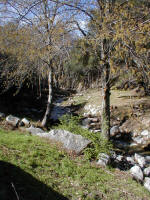 Millard2/P1010051.JPG (216377 bytes)
