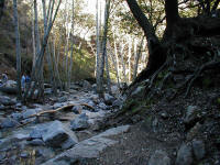 P1010001.JPG (216875 bytes)