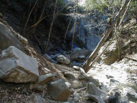 P1010016.JPG (216631 bytes)