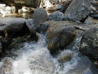 P1010018.JPG (211746 bytes)