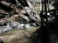 P1010019.JPG (213061 bytes)