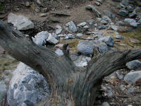 P1010021.JPG (214536 bytes)