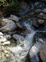 P1010023.JPG (213110 bytes)