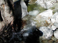 P1010024.JPG (215793 bytes)