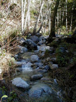 P1010032.JPG (212482 bytes)