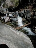 P1010033.JPG (199124 bytes)