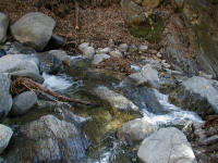 P1010035.JPG (216841 bytes)