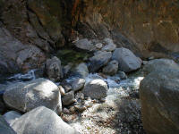 P1010037.JPG (210891 bytes)
