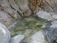 P1010040.JPG (212252 bytes)