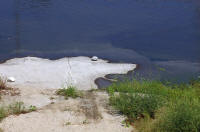 IMGP8705.JPG (1018299 bytes)