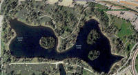 Legg Lake North.jpg (219004 bytes)