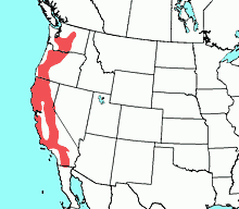 western gray squirrel range