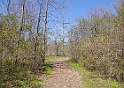 IMGP1369
