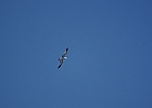 IMGP6635