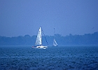 IMGP7017