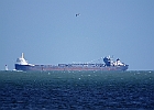 IMGP8316