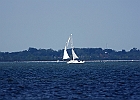 IMGP8321