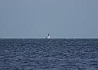 Detroit River Lighthouse