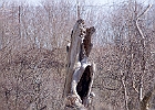 IMGP9041