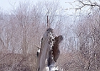 IMGP9042