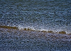 The wind was about 3 MPH so it was plowing the waves of Lake Erie back upon itself
