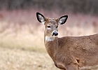 IMGP9066