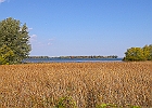 IMGP2195