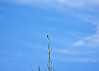 IMGP2798