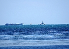 IMGP2834