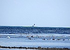 Rick Swartzentrover  Detroit River Lighthouse