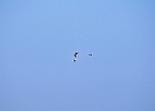 IMGP2857