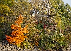 IMGP2925
