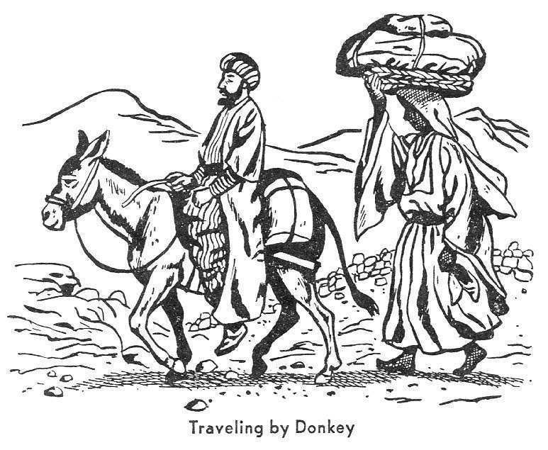 Image result for traveling with donkey in old testament