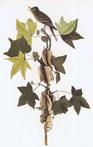 42.jpg (26763 bytes)